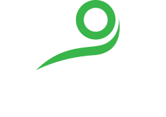 Greyhound Print